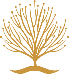 The Takkah emblem: a tree drawn as a network of nodes
